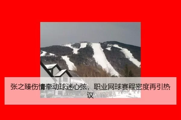 zhang-zhi-zhen-shang-qing-qian-dong-qiu-mi-xin-xian-zhi-ye-wang-qiu-sai-cheng-mi-du-zai-yin-re-yi-2-798.jpg
